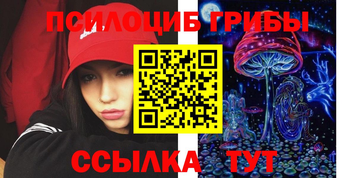 Псилоцибиновые грибы Cubensis Норильск