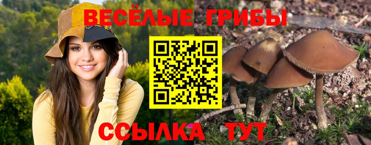 Норильск  купить наркотик  Вход с VPN  Псилоцибиновые грибы Psilocybine cubensis 